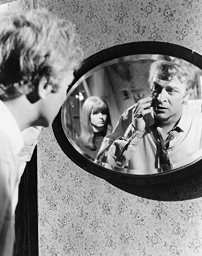 アルフィーの画像