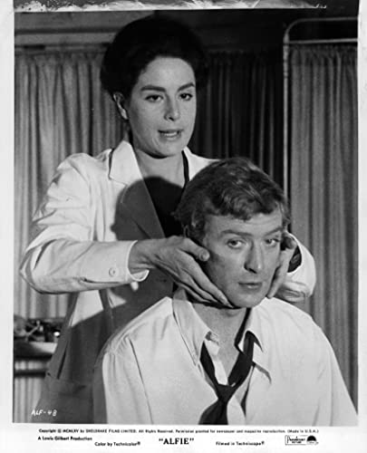 アルフィーの画像