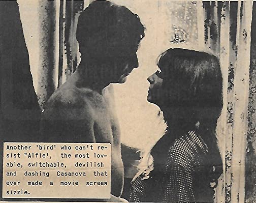 アルフィーの画像