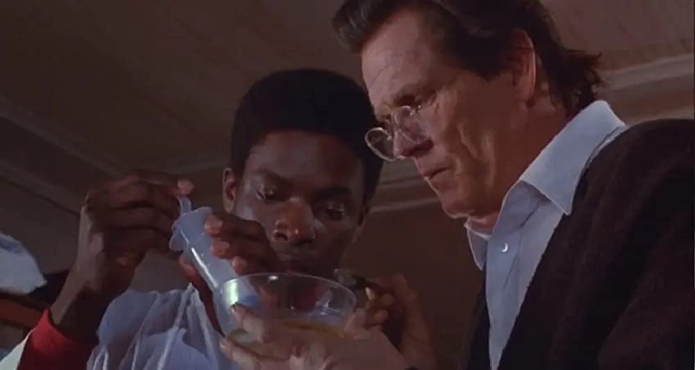 ロレンツォのオイル／命の詩の画像