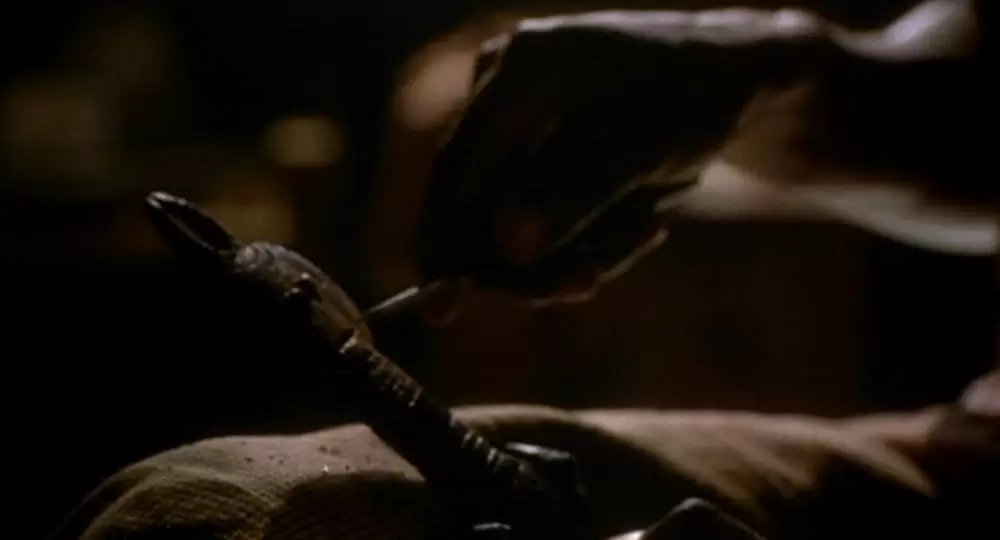 ロレンツォのオイル／命の詩の画像