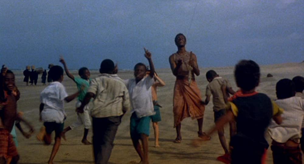 ロレンツォのオイル／命の詩の画像