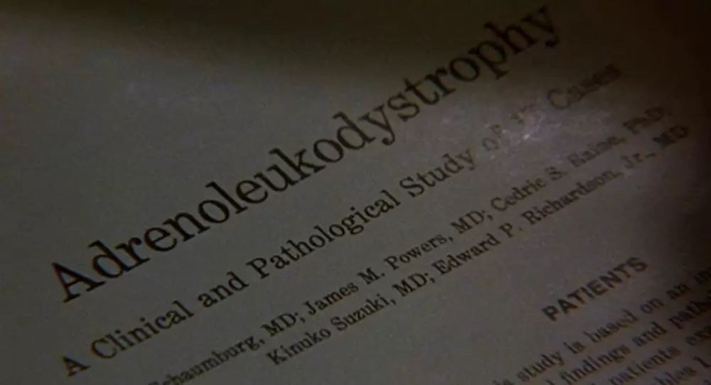 ロレンツォのオイル／命の詩の画像