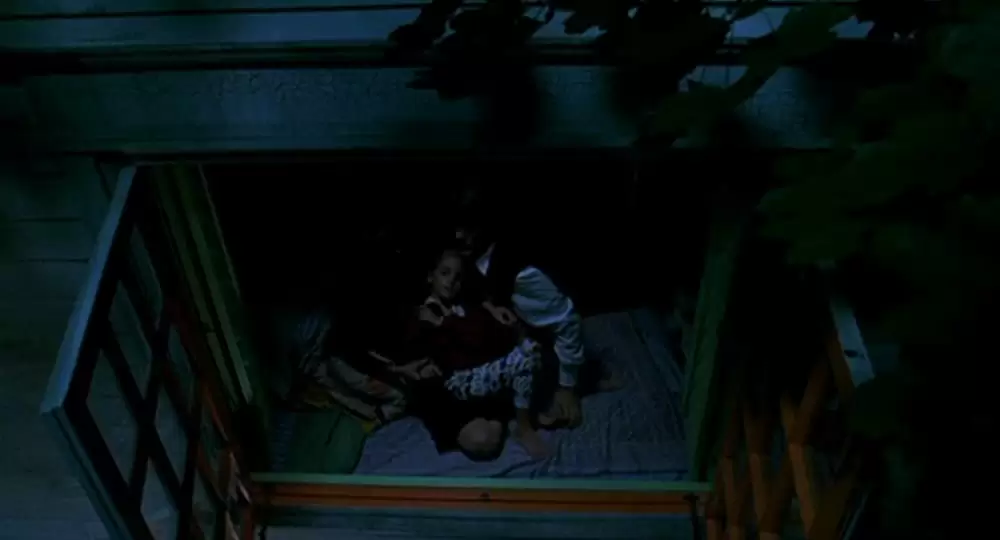 ロレンツォのオイル／命の詩の画像