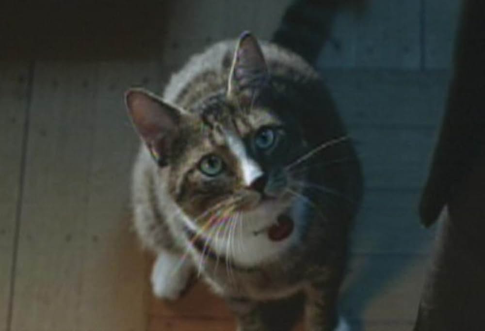 アイ,ロボットの画像