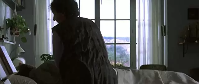 海を飛ぶ夢の画像