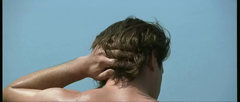 海を飛ぶ夢の画像