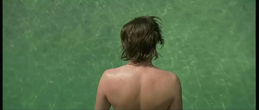 海を飛ぶ夢の画像