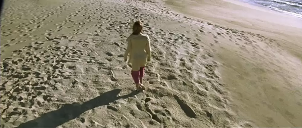 海を飛ぶ夢の画像