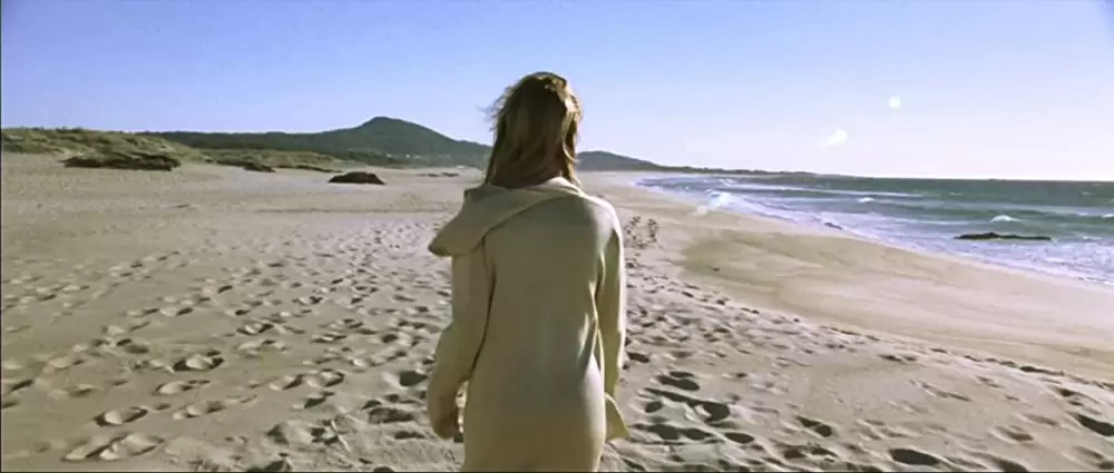 海を飛ぶ夢の画像