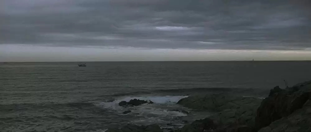 海を飛ぶ夢の画像