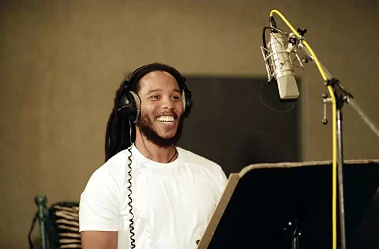 シャーク・テイルの画像