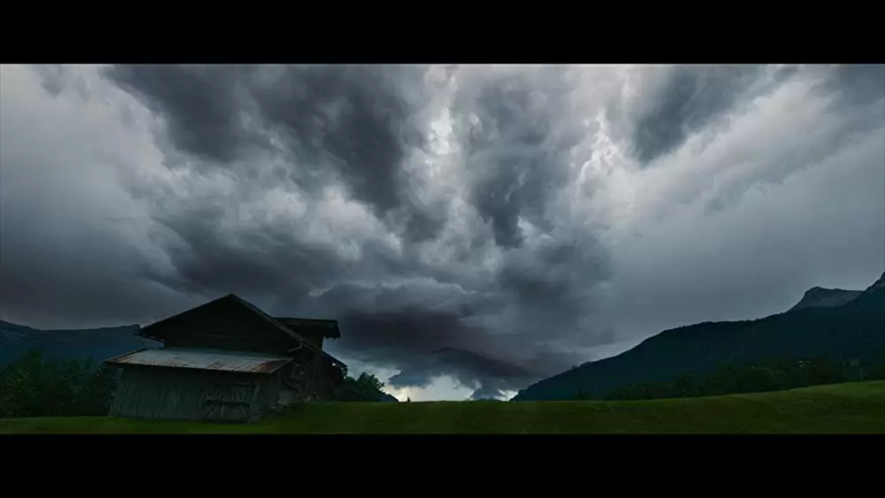 名もなき生涯の画像