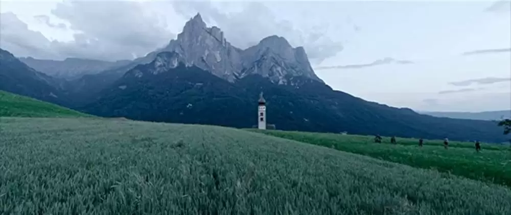 名もなき生涯の画像