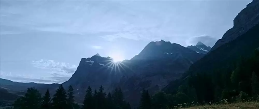 名もなき生涯の画像