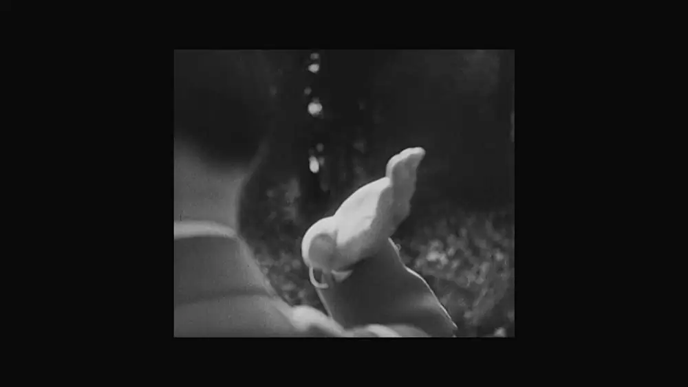 名もなき生涯の画像