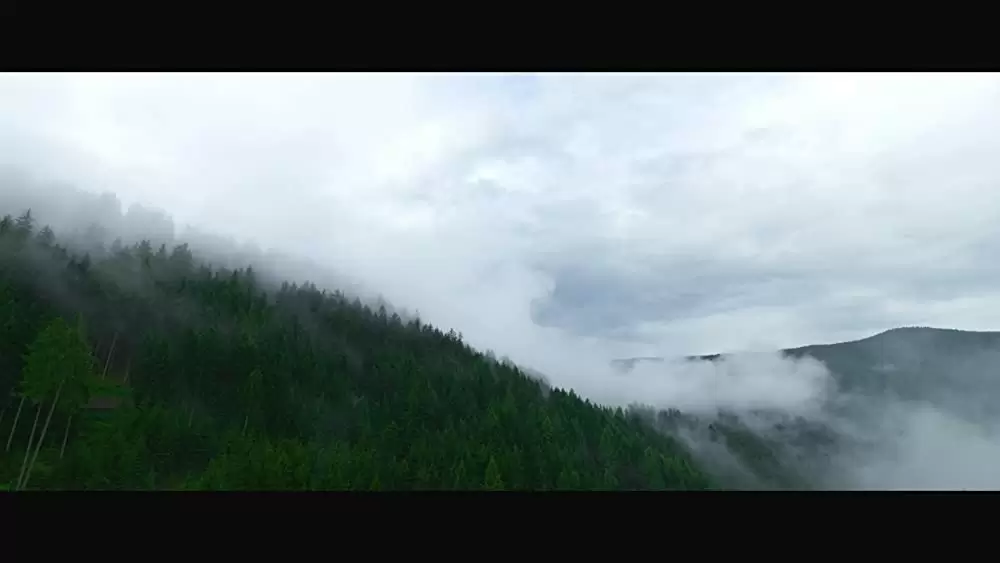 名もなき生涯の画像