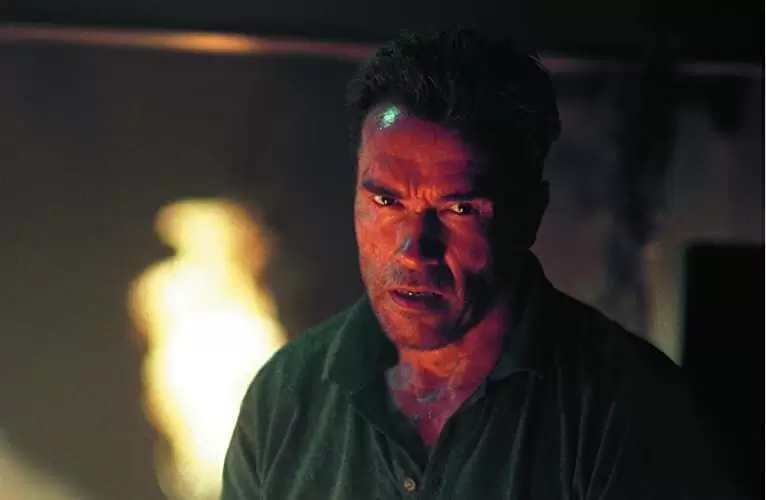 コラテラル・ダメージの画像