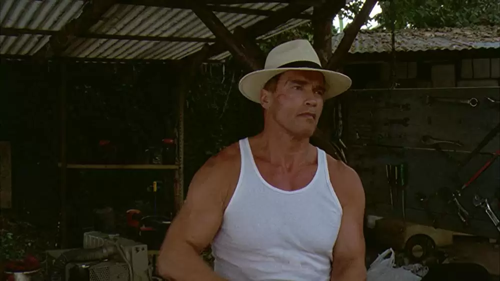 コラテラル・ダメージの画像