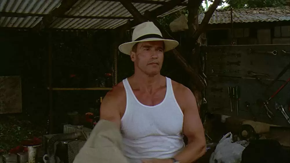 コラテラル・ダメージの画像