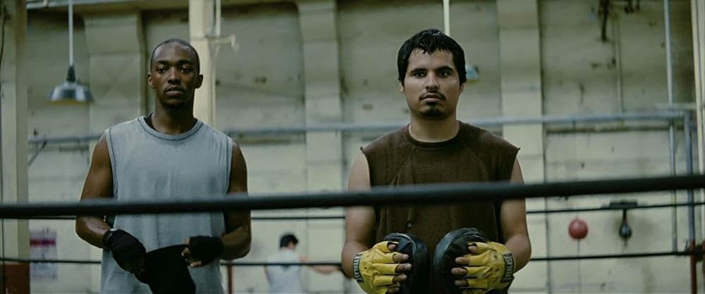 ミリオンダラー・ベイビーの画像