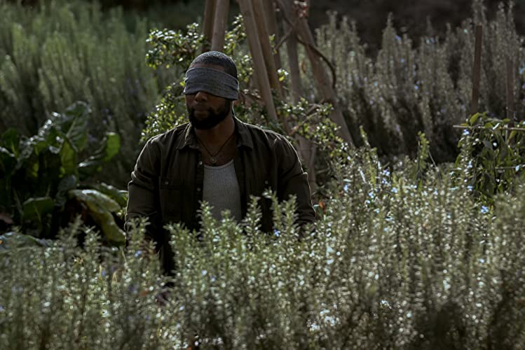 バード・ボックスの画像