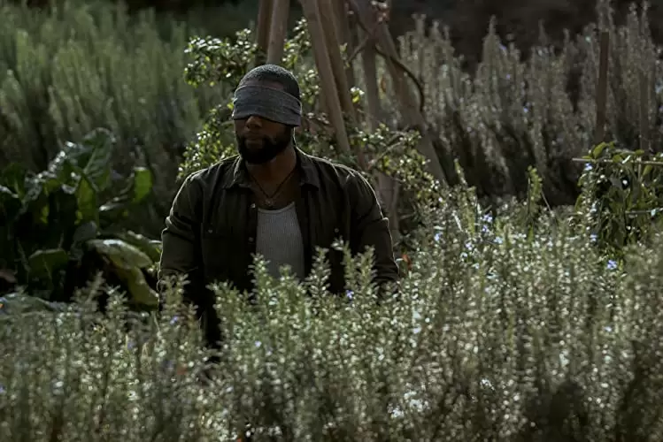 バード・ボックスの画像