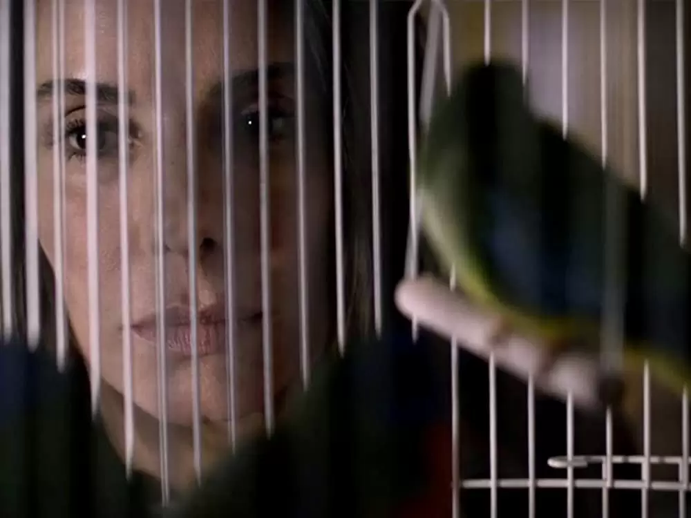 バード・ボックスの画像