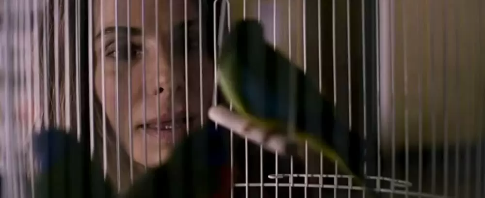 バード・ボックスの画像