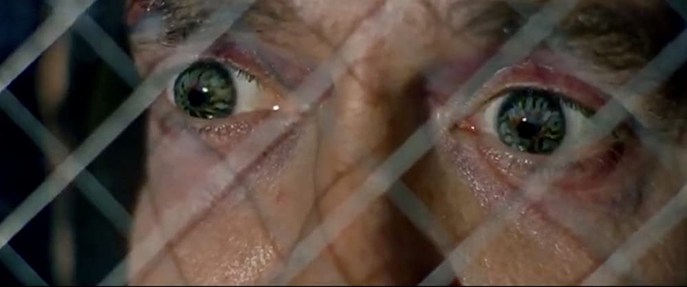 バード・ボックスの画像