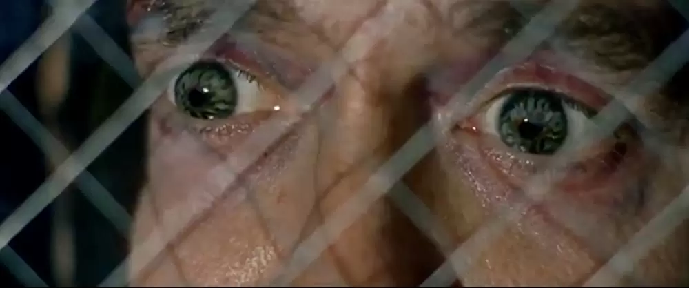 バード・ボックスの画像