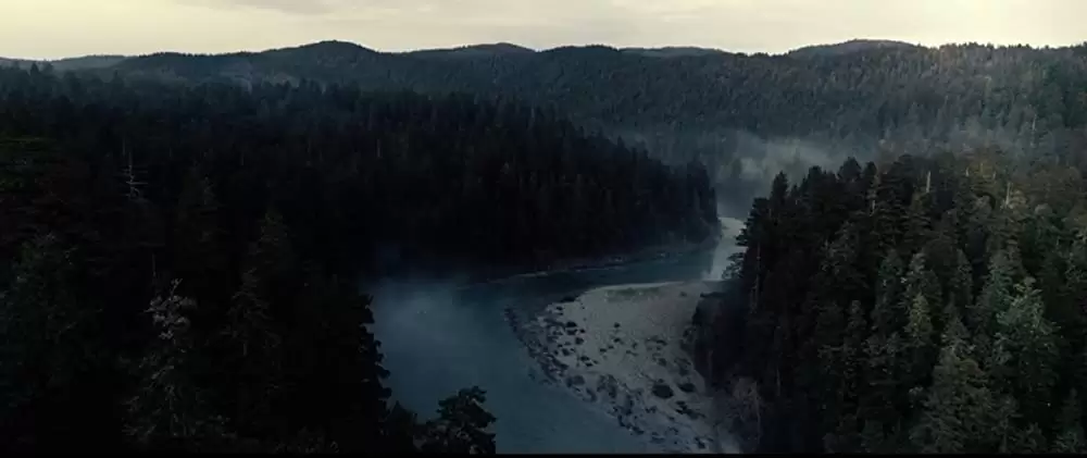 バード・ボックスの画像