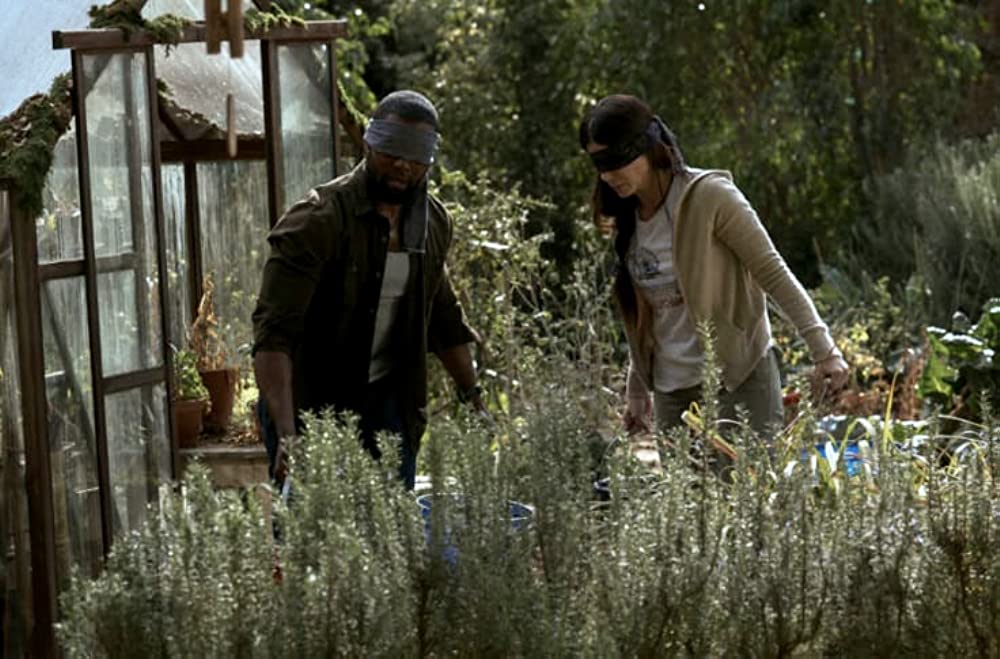 バード・ボックスの画像