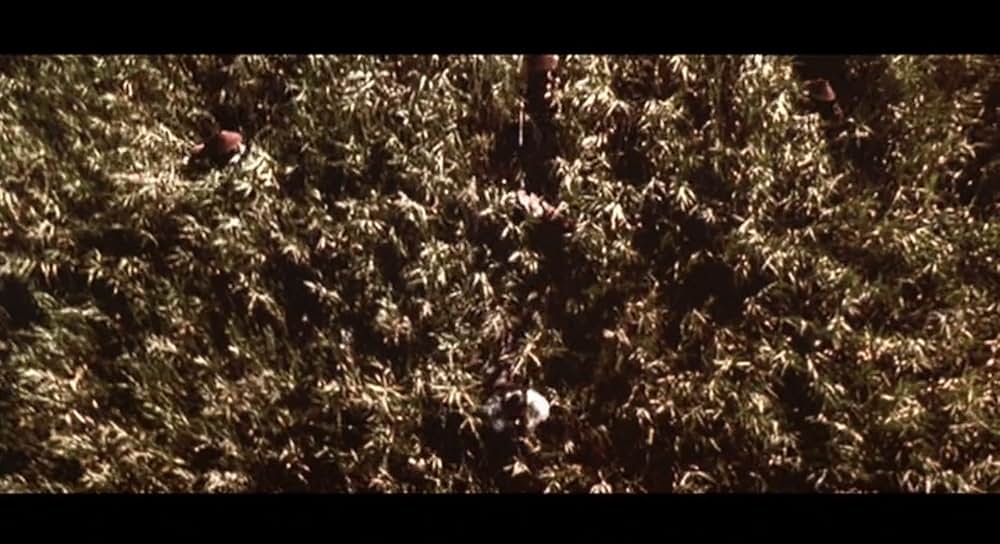 清風明月の画像