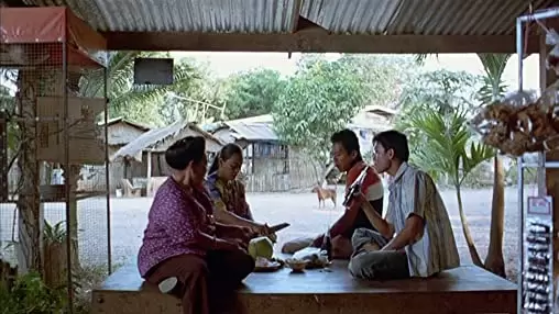 トロピカル・マラディの画像