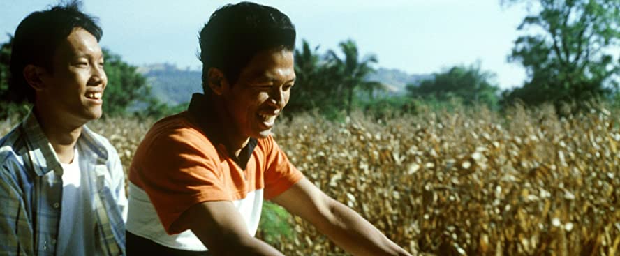 トロピカル・マラディの画像