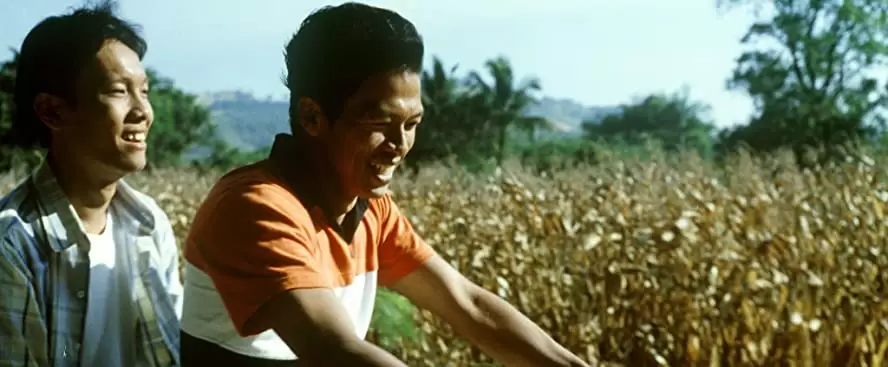 トロピカル・マラディの画像