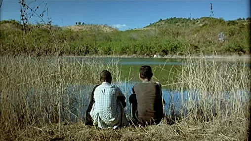 トロピカル・マラディの画像