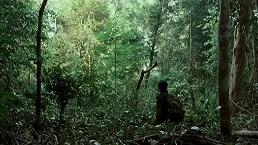 トロピカル・マラディの画像