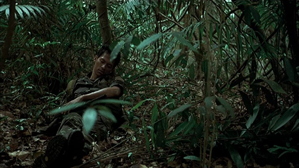 トロピカル・マラディの画像