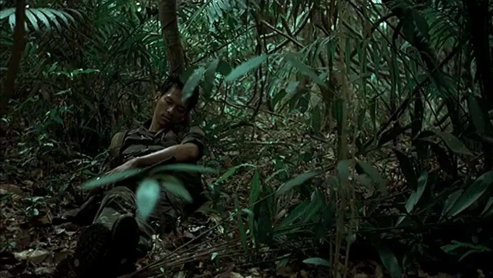 トロピカル・マラディの画像