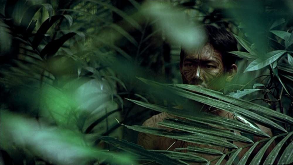 トロピカル・マラディの画像