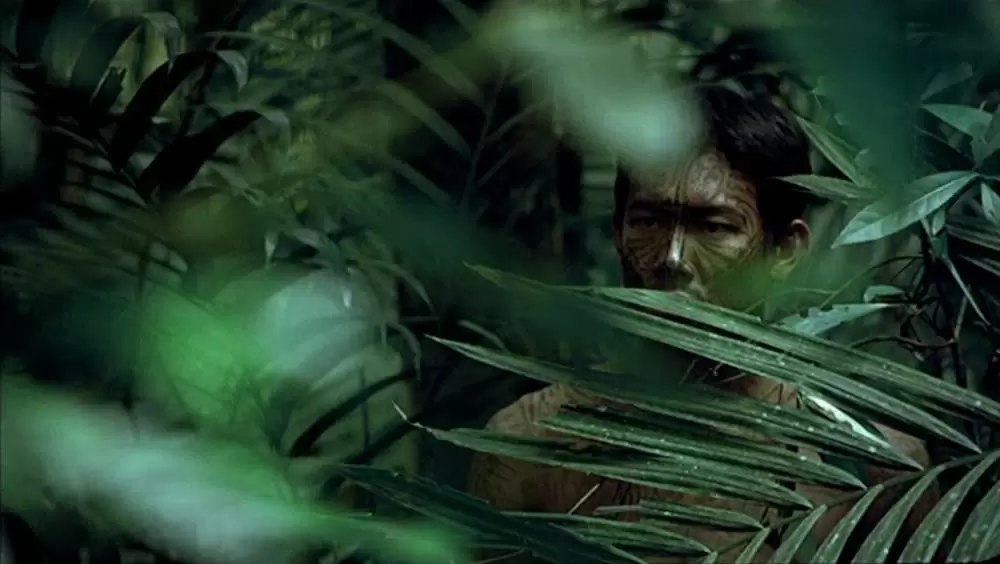 トロピカル・マラディの画像