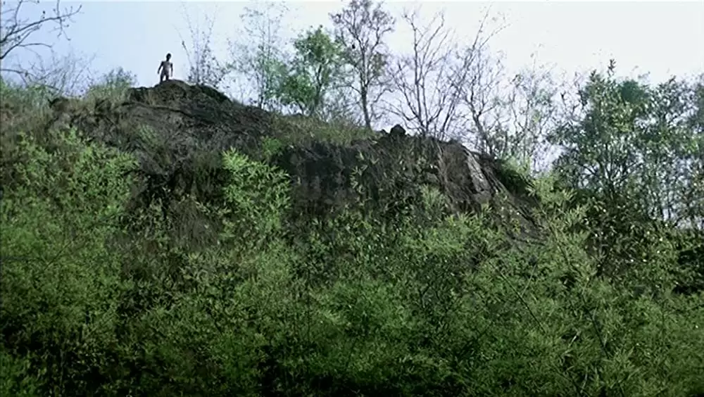 トロピカル・マラディの画像