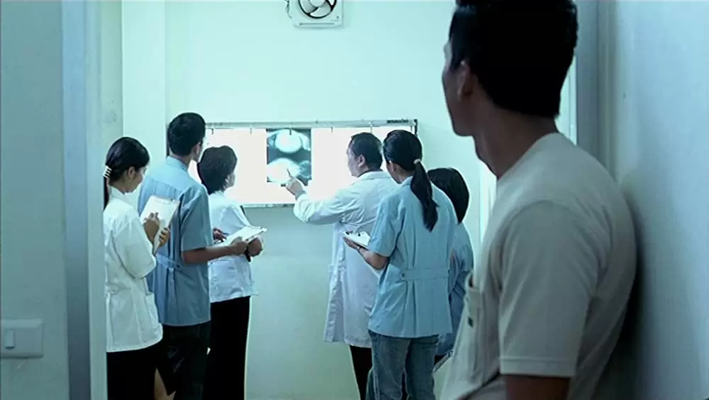 トロピカル・マラディの画像