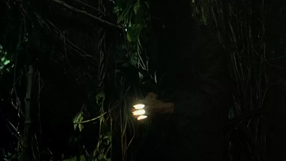 トロピカル・マラディの画像