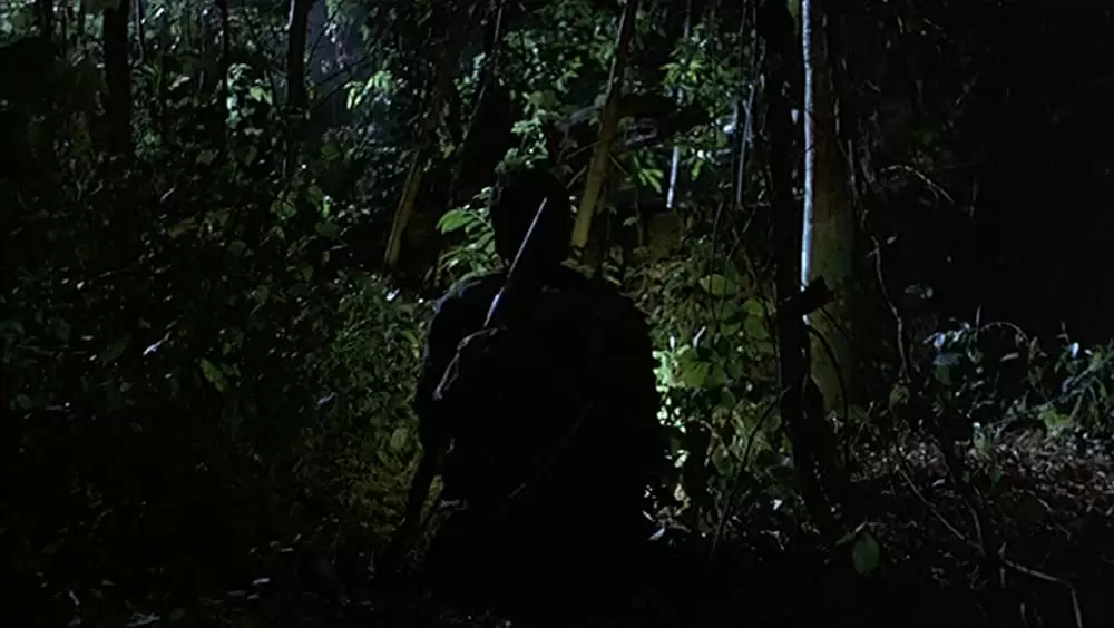 トロピカル・マラディの画像