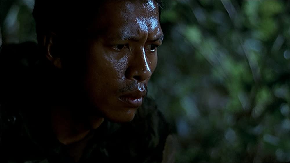 トロピカル・マラディの画像