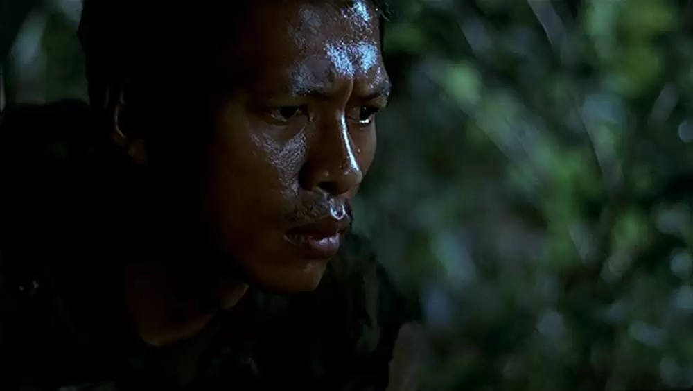 トロピカル・マラディの画像