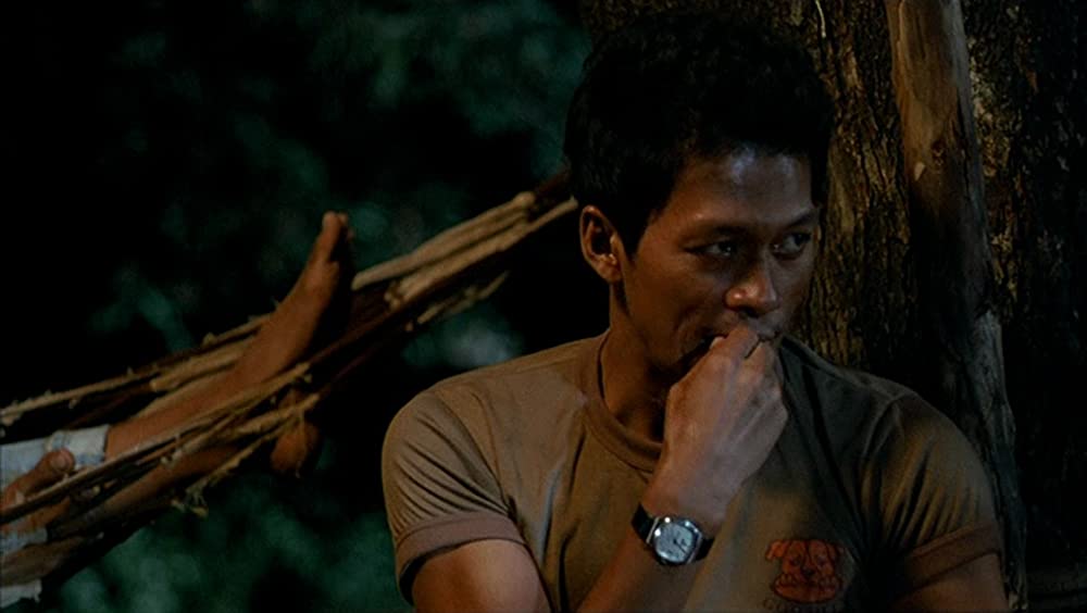 トロピカル・マラディの画像